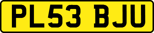 PL53BJU