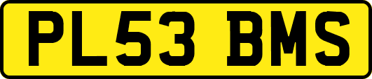 PL53BMS