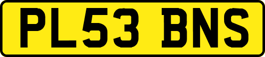 PL53BNS