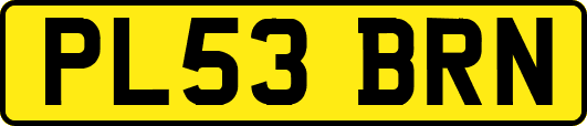PL53BRN