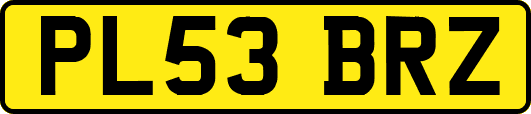 PL53BRZ
