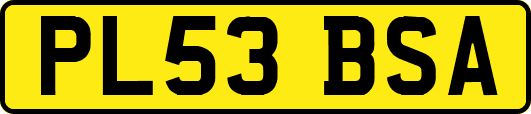 PL53BSA