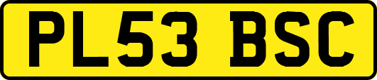 PL53BSC