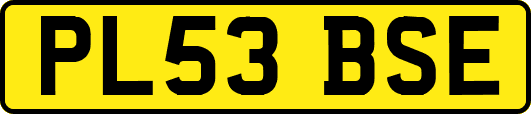 PL53BSE