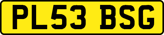 PL53BSG