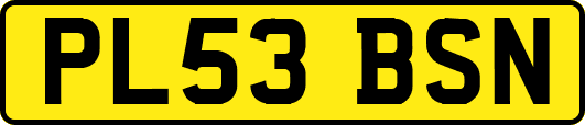 PL53BSN
