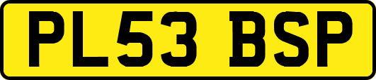 PL53BSP