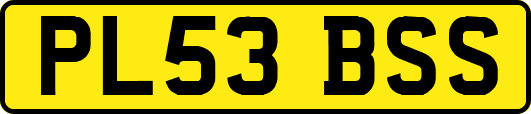 PL53BSS
