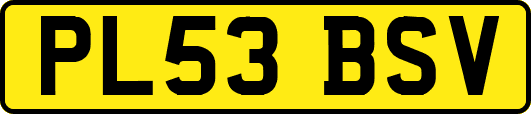 PL53BSV