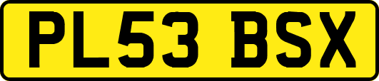 PL53BSX