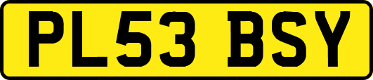 PL53BSY