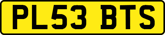 PL53BTS