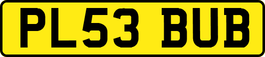 PL53BUB
