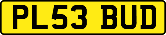 PL53BUD