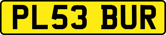 PL53BUR