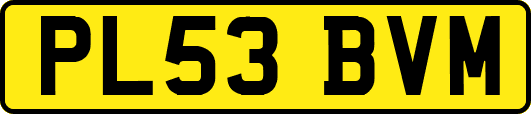 PL53BVM