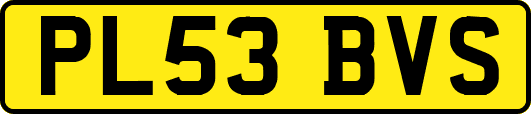 PL53BVS