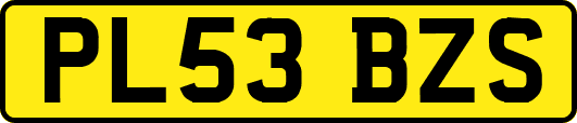 PL53BZS