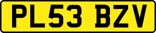 PL53BZV