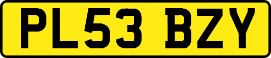 PL53BZY