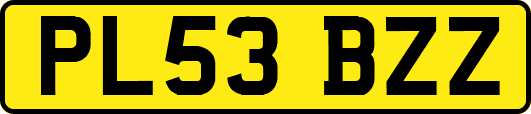 PL53BZZ