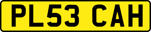 PL53CAH