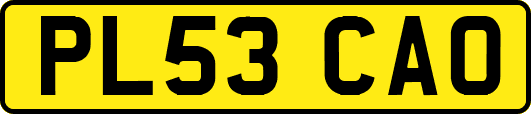 PL53CAO