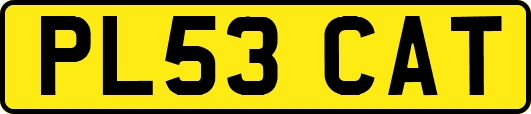 PL53CAT