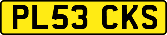 PL53CKS
