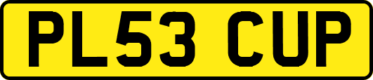 PL53CUP
