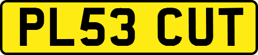 PL53CUT