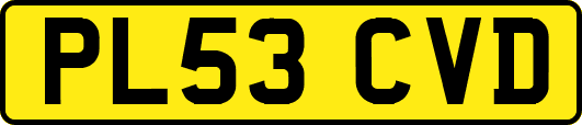PL53CVD