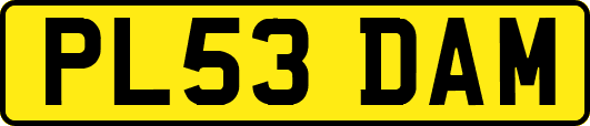 PL53DAM