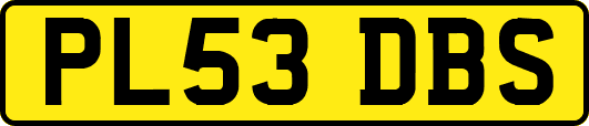 PL53DBS