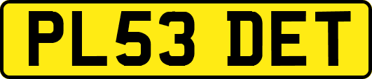 PL53DET