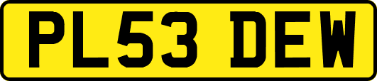 PL53DEW
