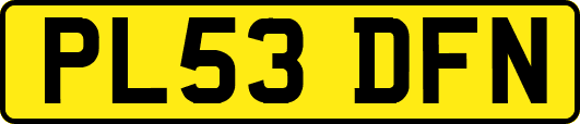 PL53DFN