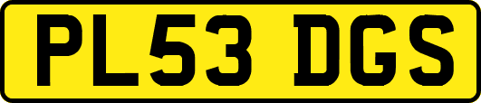 PL53DGS