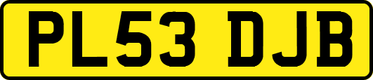 PL53DJB