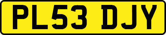 PL53DJY