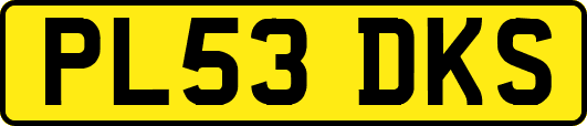PL53DKS