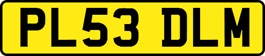 PL53DLM