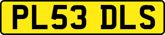 PL53DLS