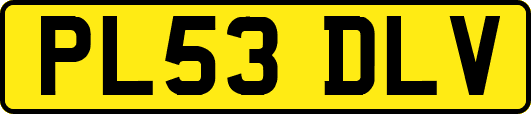 PL53DLV