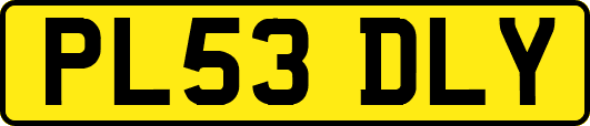 PL53DLY