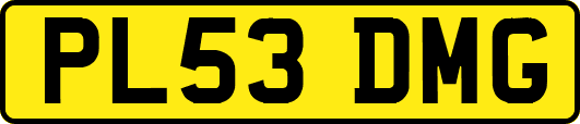 PL53DMG