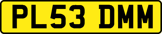 PL53DMM