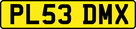 PL53DMX
