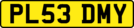 PL53DMY