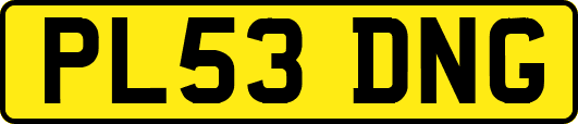 PL53DNG